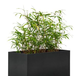 Bloembak Mohawk, zwart gepoedercoat staal 60 x 120 x 60 cm