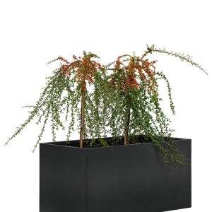 Bloembak Mohawk, zwart gepoedercoat staal 50 x 90 x 50 cm